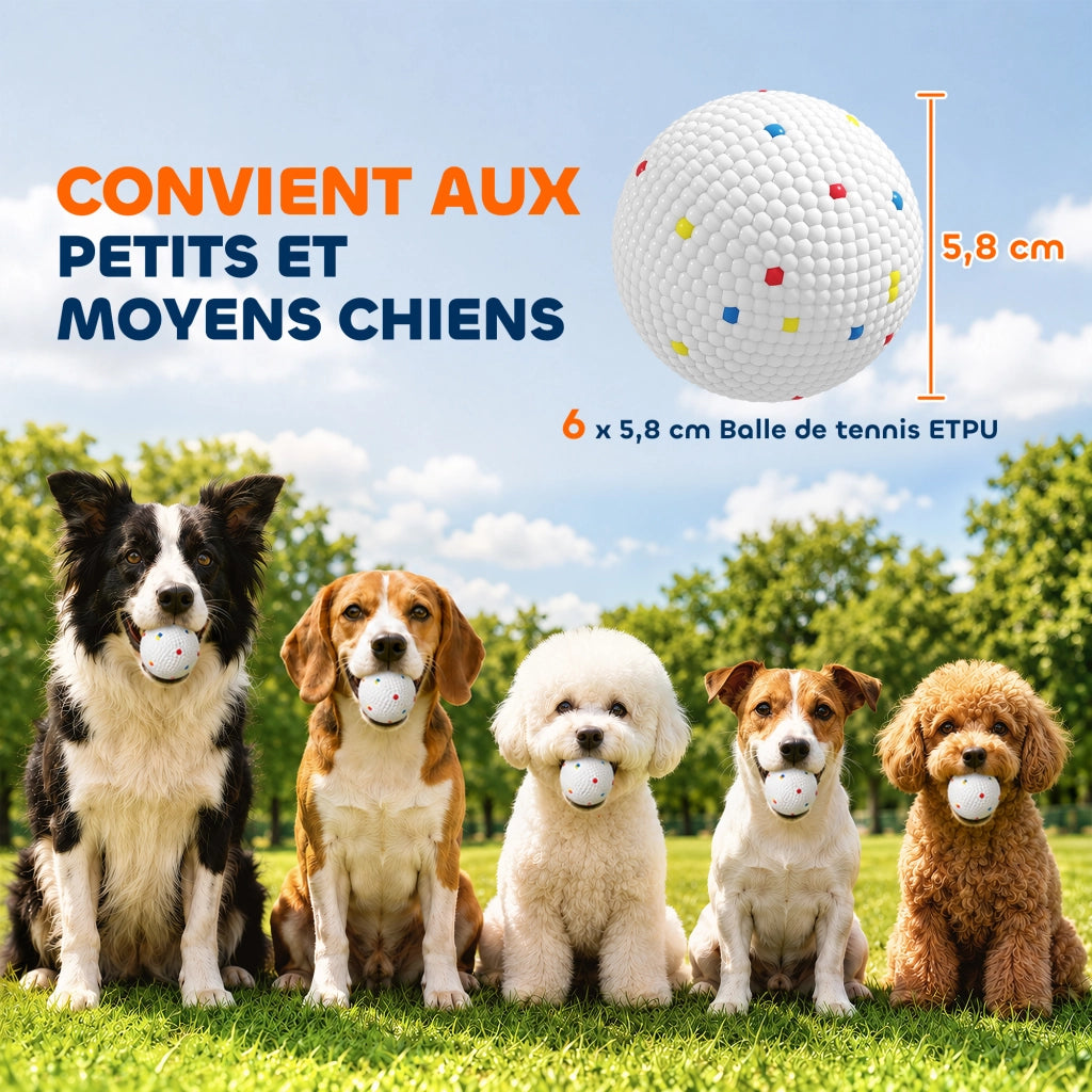 Lot de 6 Balles pour Chien en ETPU Ø58mm Blanc