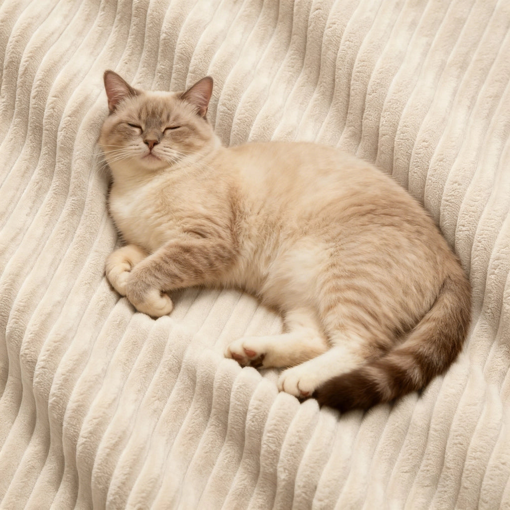 Divano modulare Cloud - Zephmum- U-forma 3 posti velluto beige senza montaggio