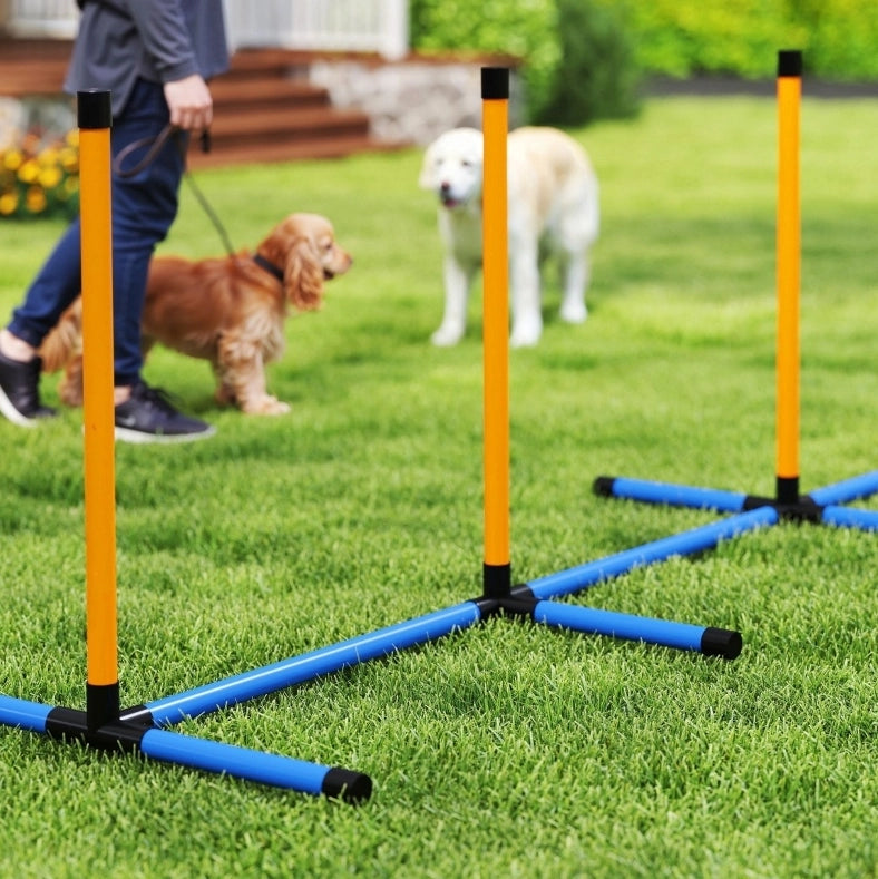 Set agility per cani 348x69x69 cm in plastica multicolore, 7 pezzi, portatile –