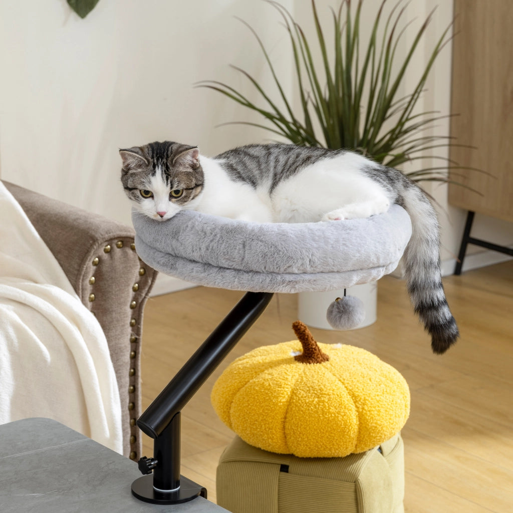 Letto per gatti con scrivania regolabile ¨C Minimal ¨C Grigio
