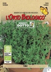 Sementi aromi timo