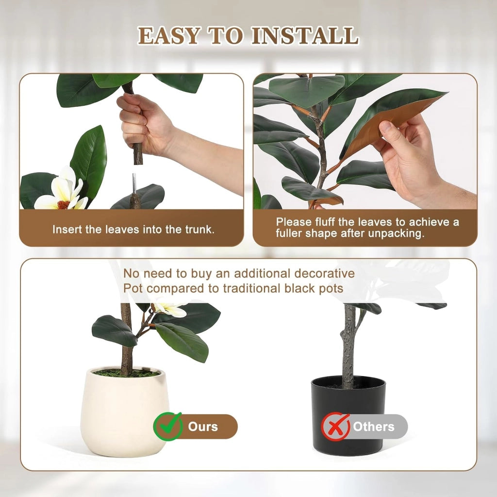 Ficus Elastica Artificiale 210 cm con Fiori di Magnolia e Vaso Bianco Alto