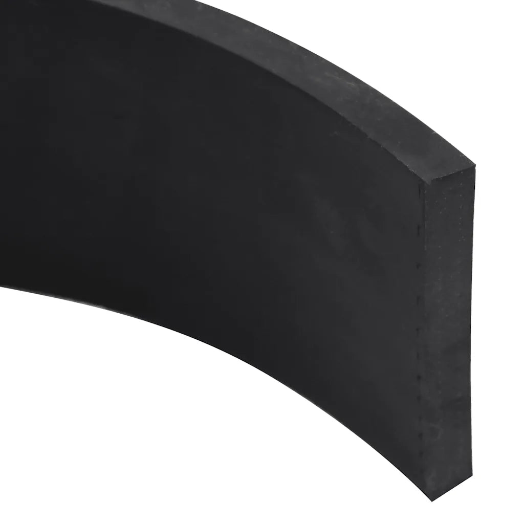 Bordo in Gomma per Spazzaneve Nero 200x8x1 cm 4103514