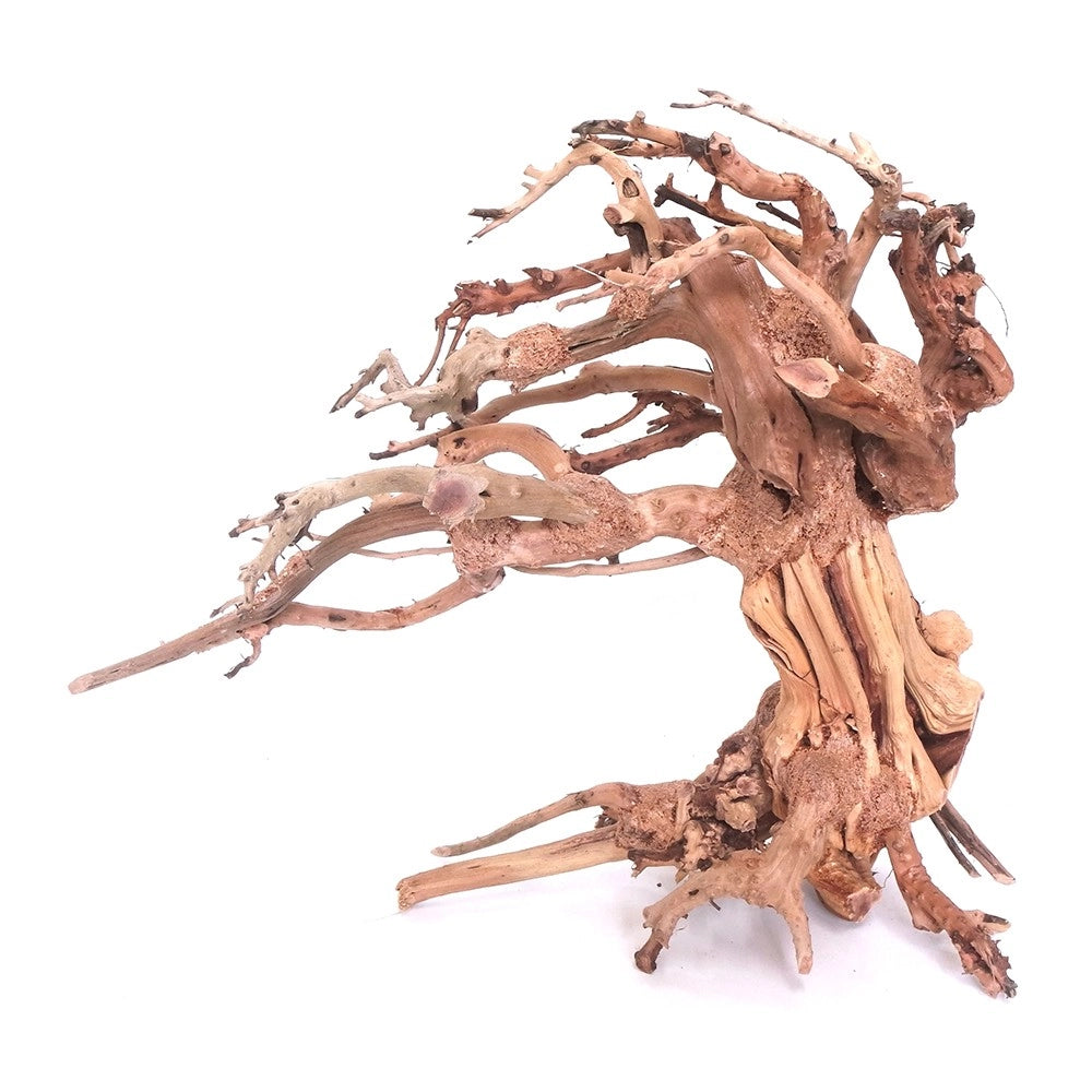 DecorLine Wind Wood misura Small cm23x10x17h - legno naturale decorativo