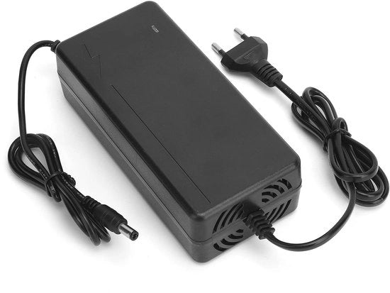 Corona d'oro - Presa per l'UE - Ricarica batteria Li-ion - Sicura e affidabile - DC 54,6V 2A - Chip intelligente - Adatto per veicoli elettrici - Sl