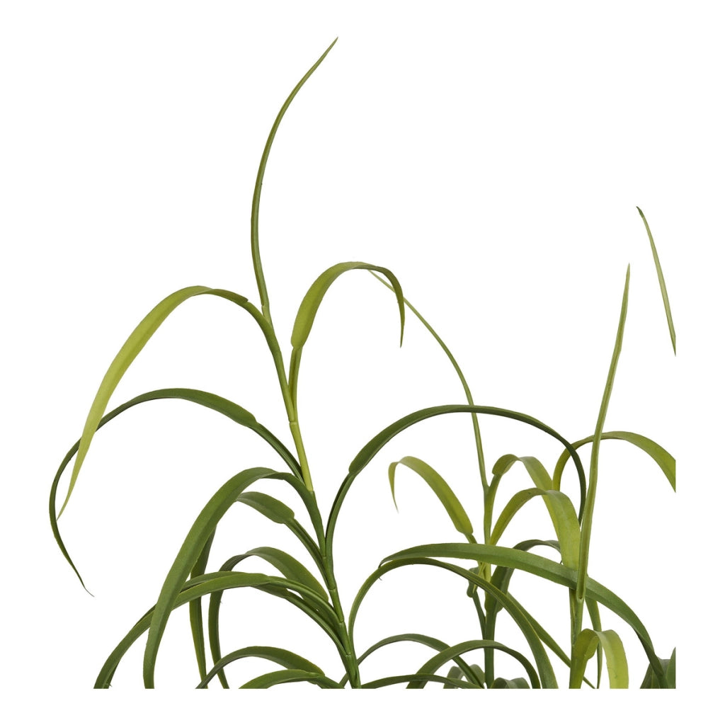 Pianta Artificiale Grass, Verde, Plastica, 36x36x89 cm