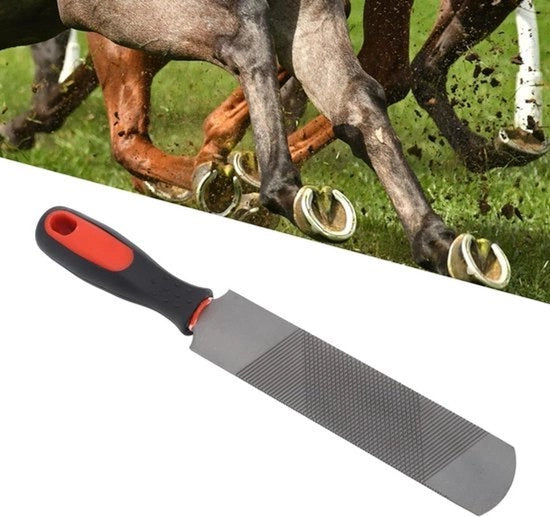 Manubrio Flessibile - Acciaio di Carburo - Strumento per Fodera - Animali da Fattoria - Raspa per Fodera - Fodera per Fodera - 20 cm, Adatto per diverse Fattorie da Bestiame