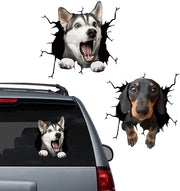 Sticker 3D Effetto - Animali Sticker - Sticker Auto - Decorazione Parete - Imbottito Acqua - Materiale PVC - 30x30 cm - Sticker Animali