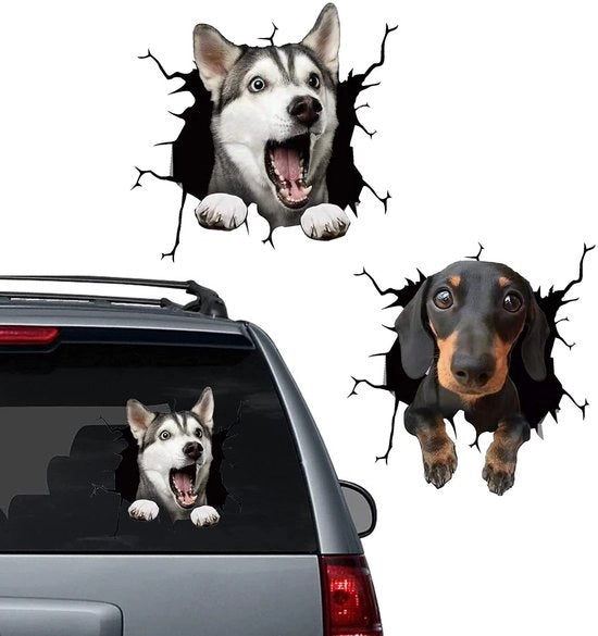 Sticker 3D Effetto - Animali Sticker - Sticker Auto - Decorazione Parete - Imbottito Acqua - Materiale PVC - 30x30 cm - Sticker Animali