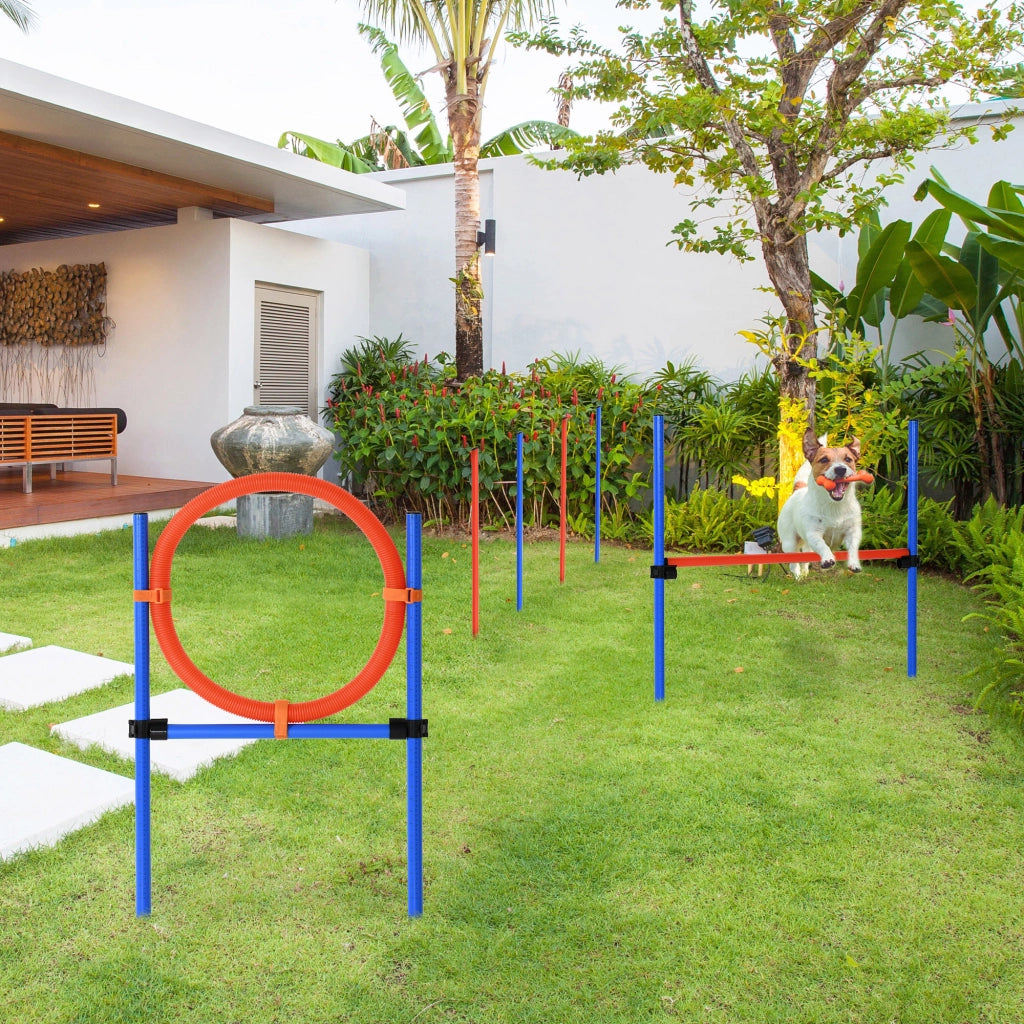 Set Agility per Cani ¨C Minimal ¨C Blu+Rosso