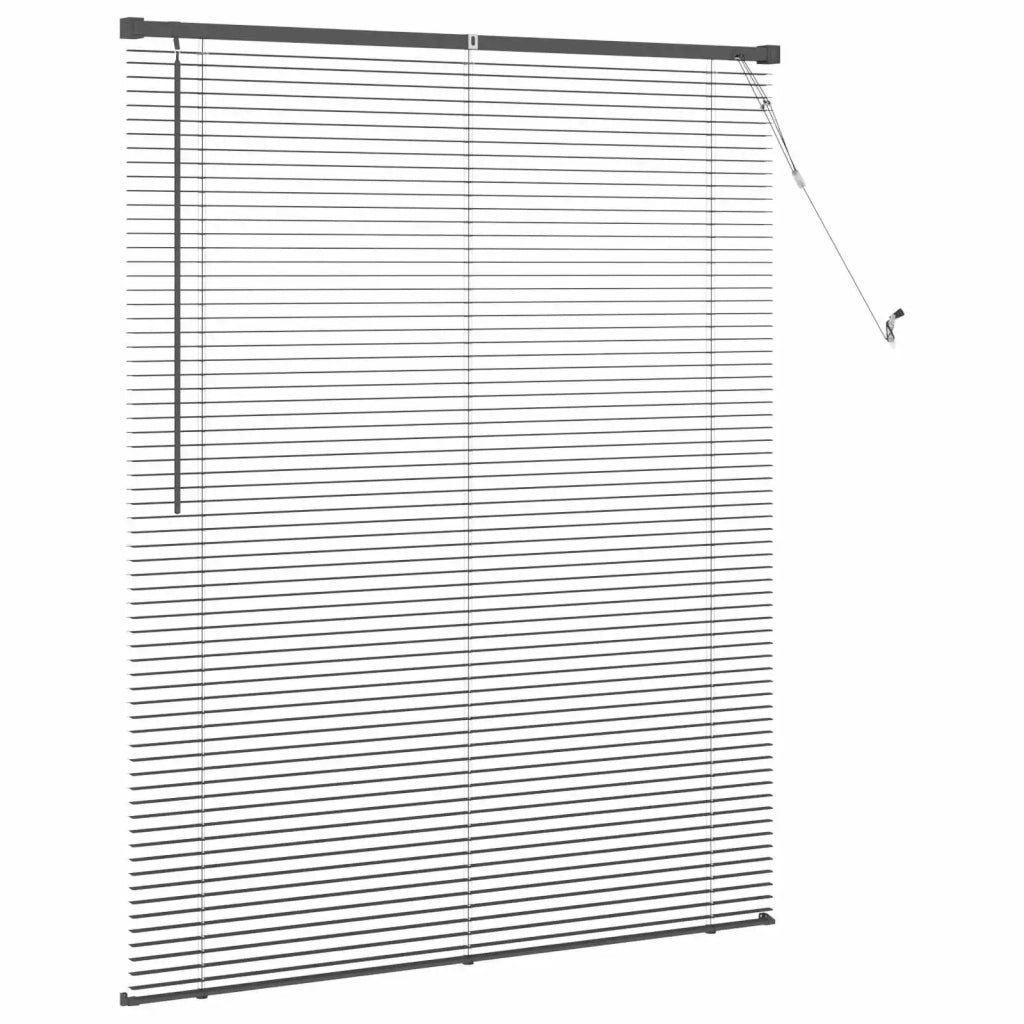 Tenda Veneziana | Tenda a lamelle Grigio Argento 150 x 110 cm 25 mm PVC