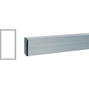 STADIA PER EDILIZIA 60X30 1,5 mt