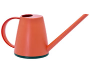 Annaffiatoio Piccolo Mini Domestico Casa Piante Vasi Becco Lungo Bollitore 1 Lt Colore: Lava