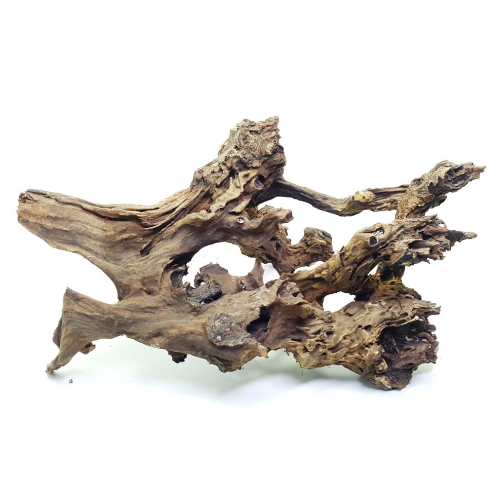 DecorLine Driftwood Foto Indicativa - Legno Manila naturale (Jati) per acquari d'acqua dolce Modello: L (40-60cm)