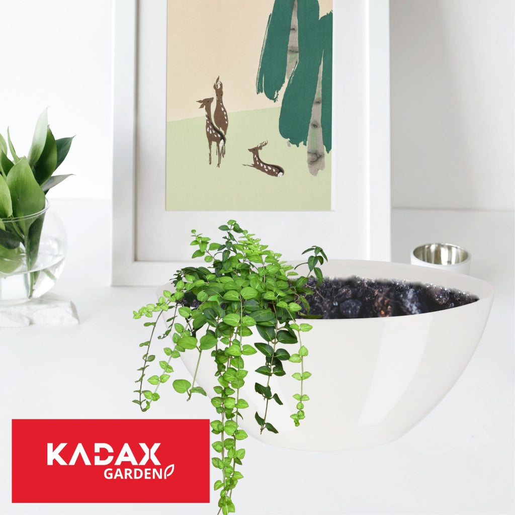 Vaso da fiori KADAX ovale da 21 cm in plastica bianca