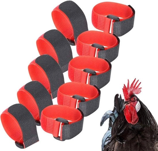 Cintura Anti-Haan in Nylon Silenziosa per Polli - 5 Pezzi .