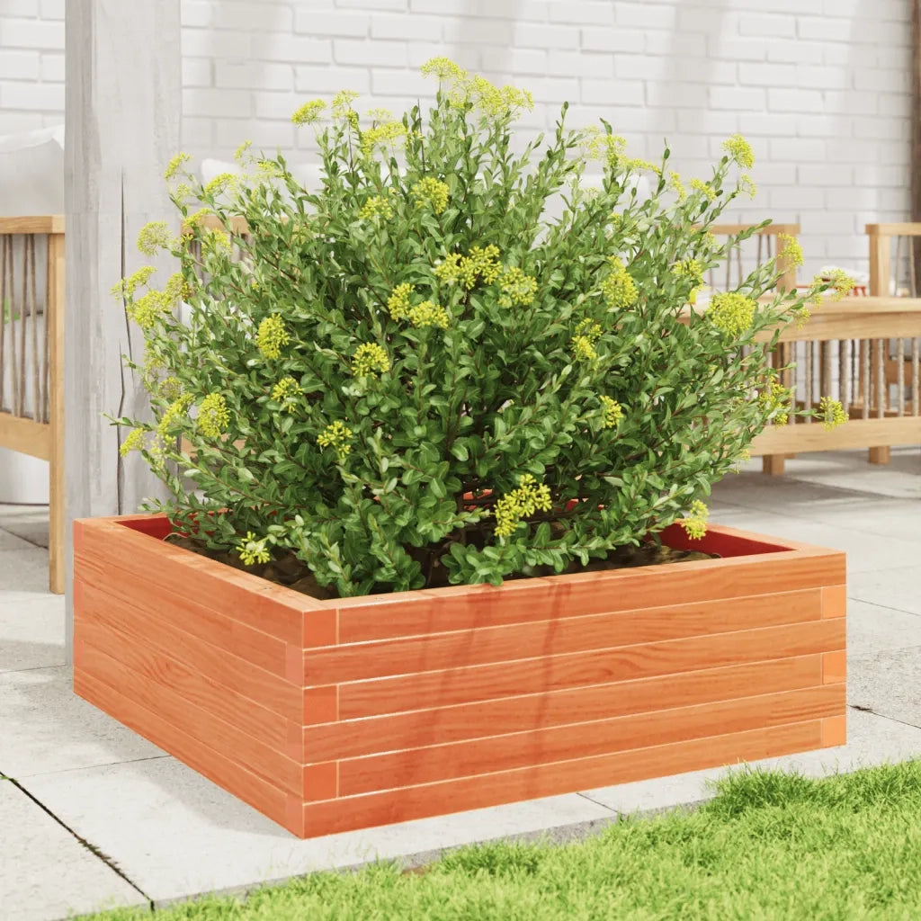 Fioriera | Cassetta per fiori | Vaso Giardino Marrone Cera 70x70x23 cm Legno Massello Pino