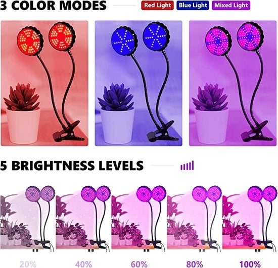 Luce per Piante / Luce per Crescita delle Piante / Classe di Energie A+++