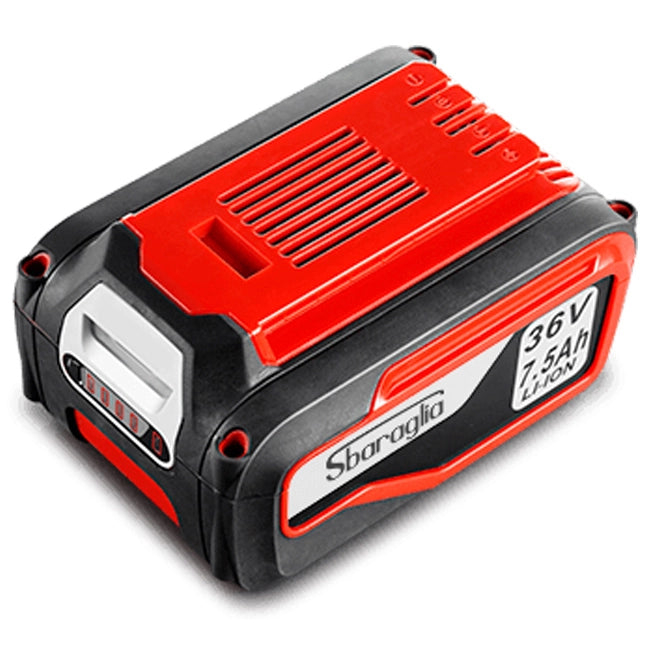 BATTERIA 36V 7,5 Ah SBARAGLIA- 1,0 pz