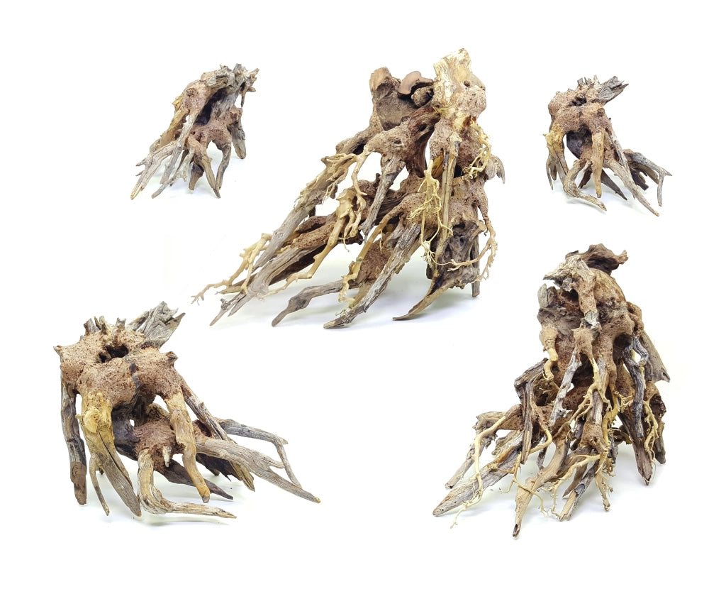 DecorLine Octopus Wood Foto Indicativa - Legno naturale decorativi per acqua dolce Modello: L (cm35x30x20h)