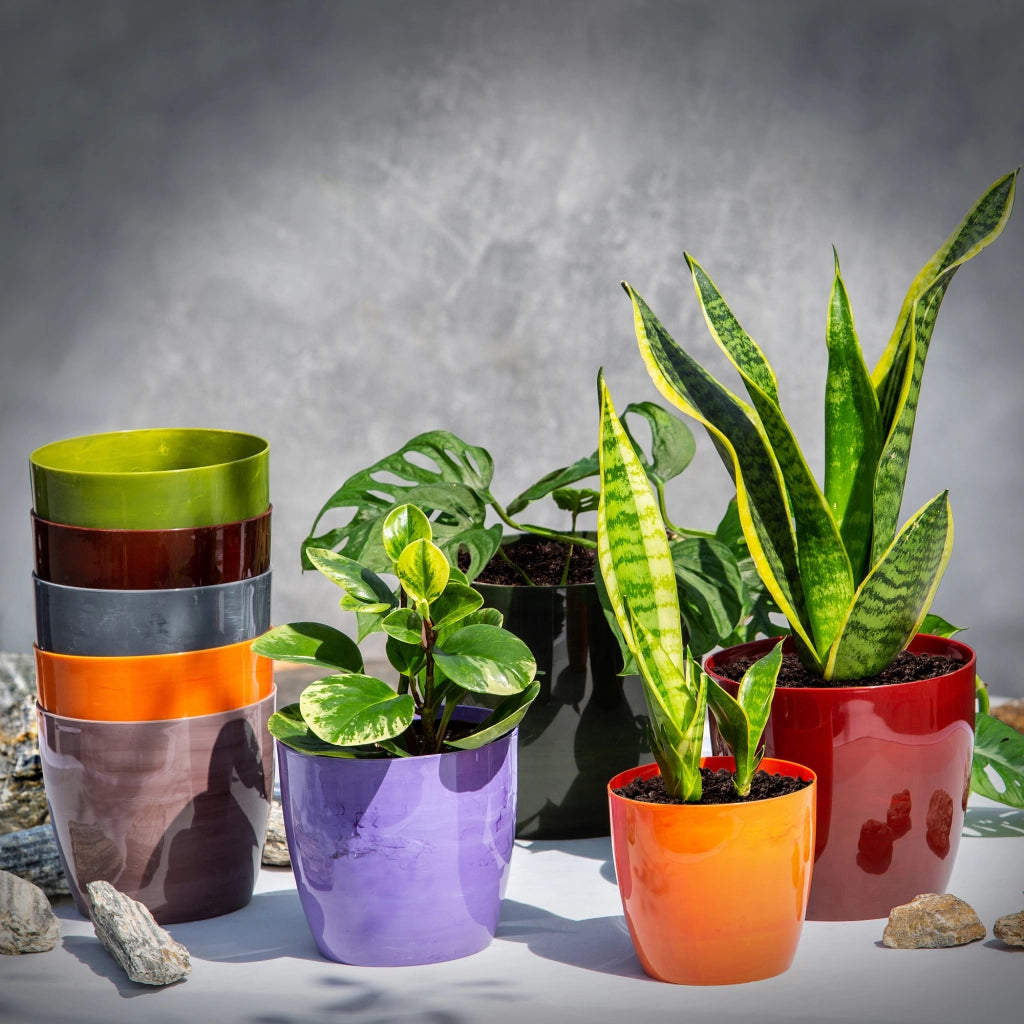 Coprivaso KADAX da 14 cm, vaso per fiori, effetto marmo grigio, per soggiorno, supporto per fiori