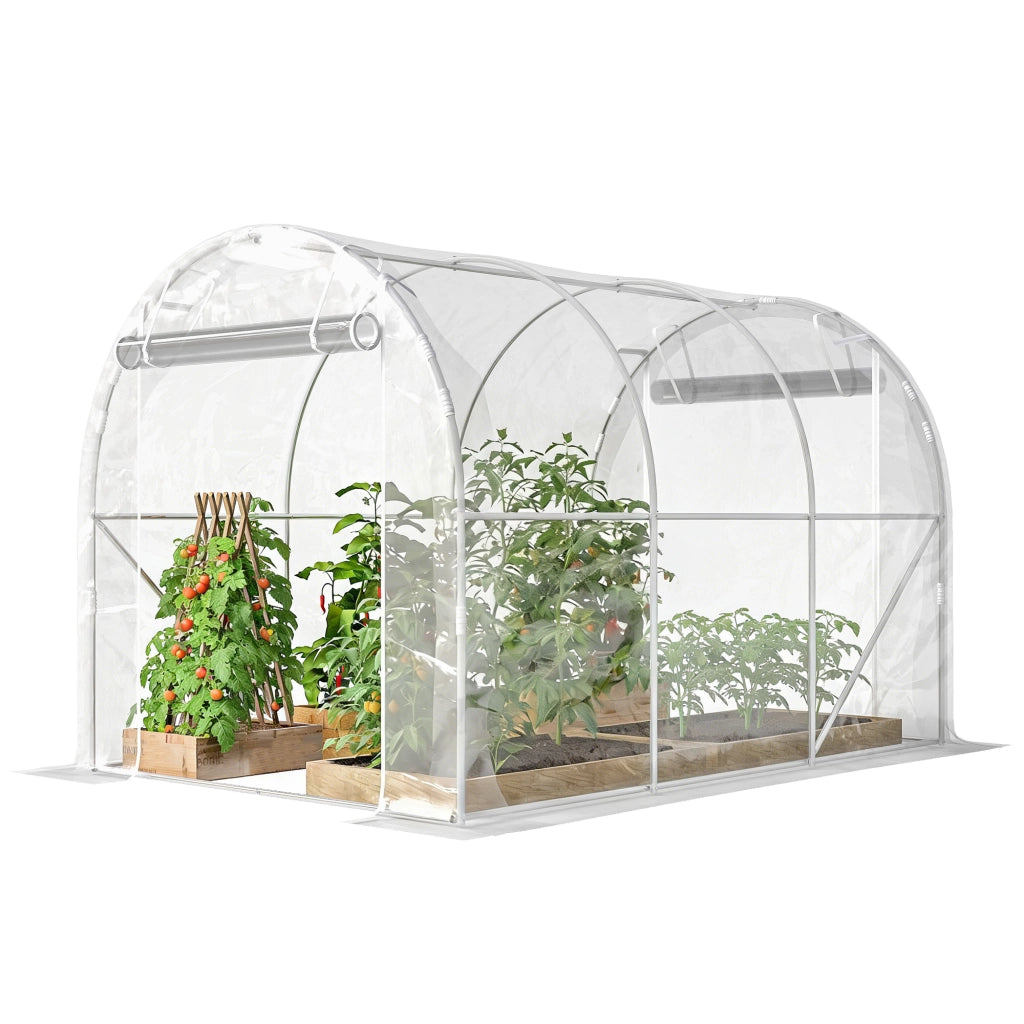 Serra da giardino tunnel ¨C Minimal ¨C 195x295x195cm acciaio galvanizzato bache PE trasparente