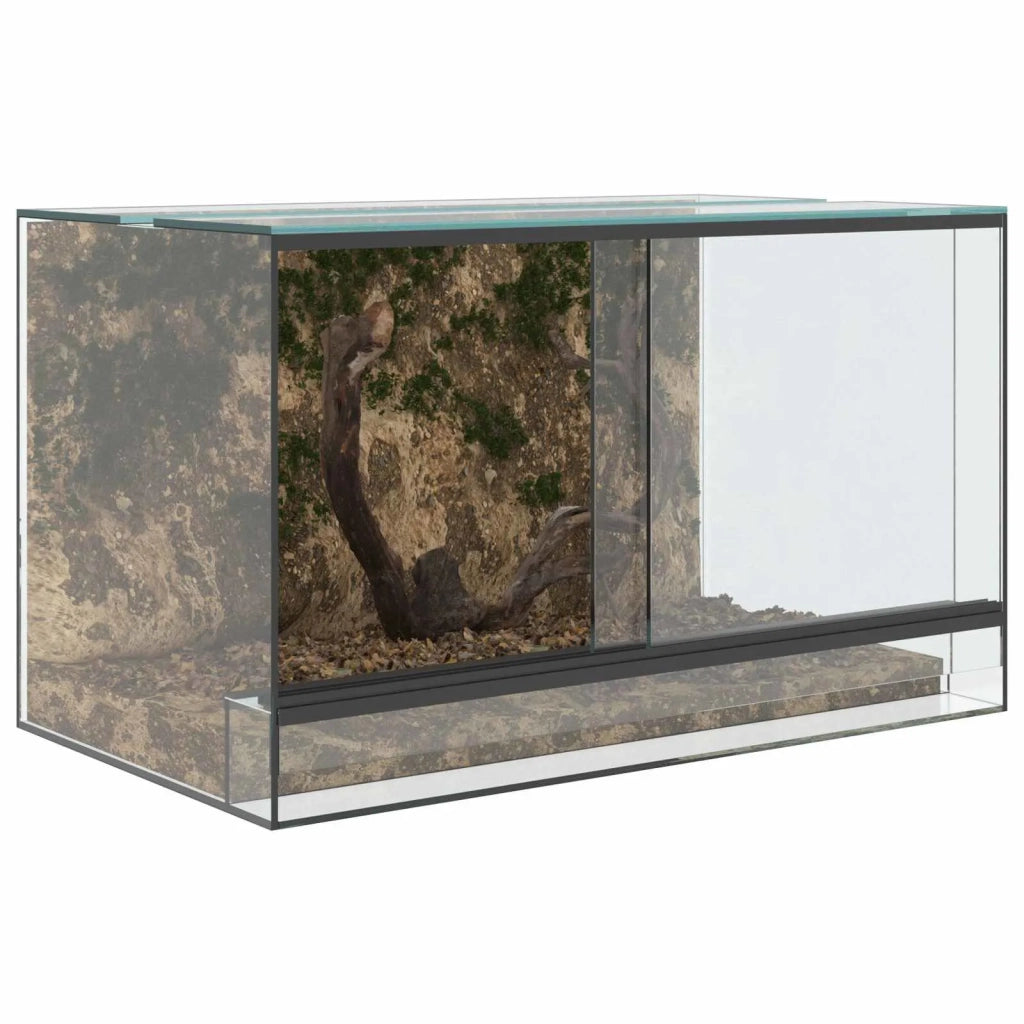 Terrario con archiviazione Trasparente 50 x 30 x 30 cm Vetro 42020390