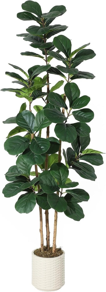 Ficus Lyrata Artificiale 180 cm con Tronco Naturale e Vaso Bianco Lucido