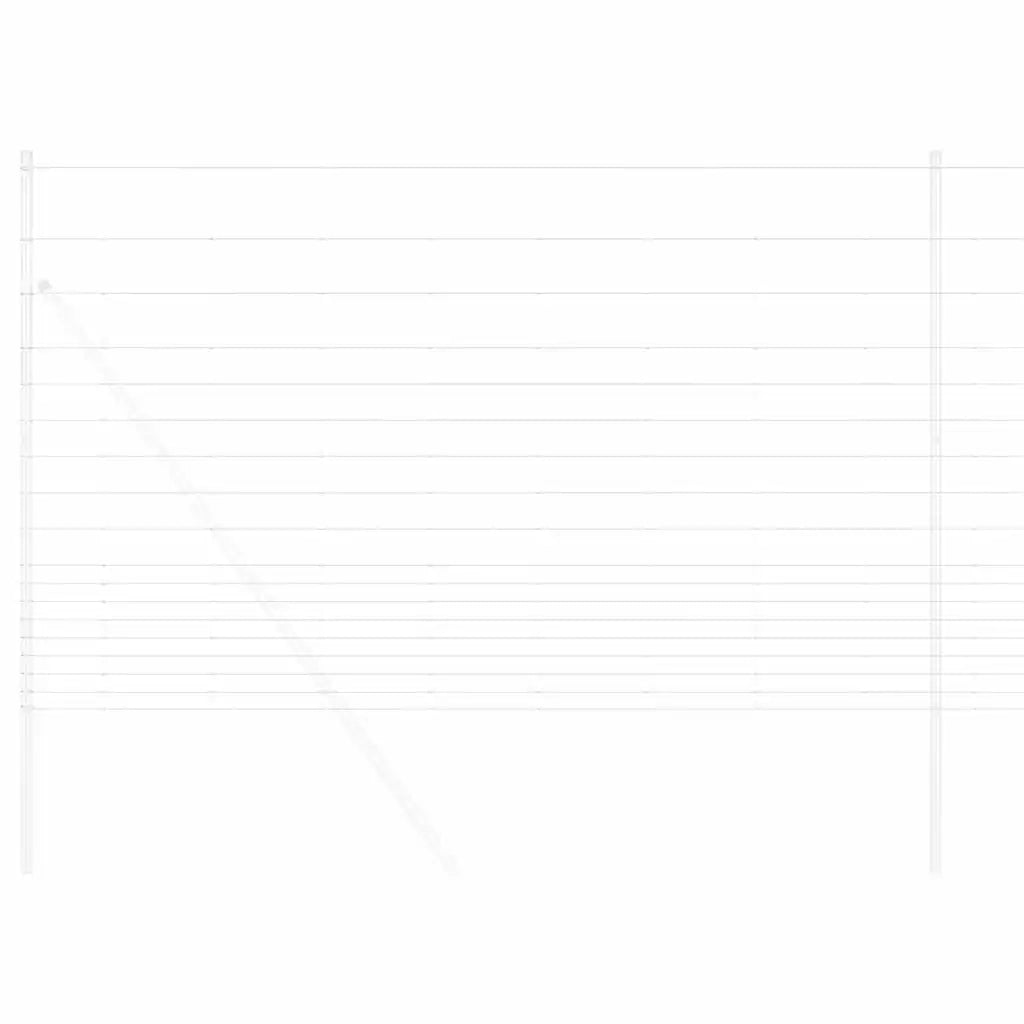 Recinto Selvaggio Zincato a Caldo 1000 x 150 x 0,18 cm Ferro 42005794