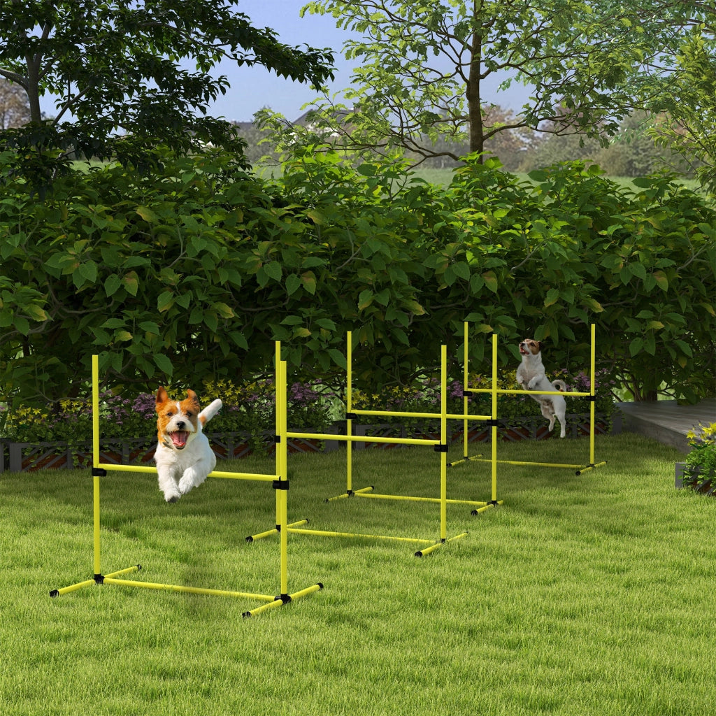 Set Agility per Cani ¨C Minimal ¨C Giallo