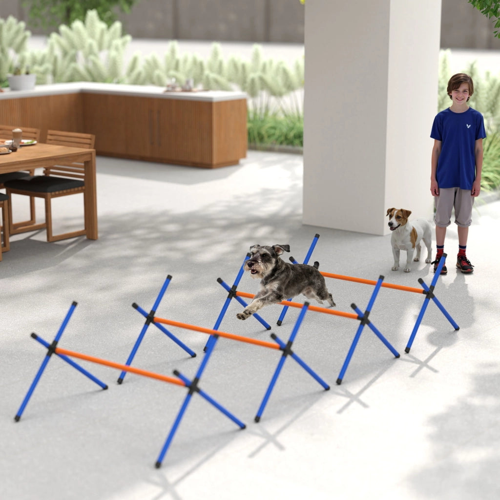 Set Agility per Cani ¨C Minimal ¨C 4 Pezzi con H¨¹rden e Tragetasche