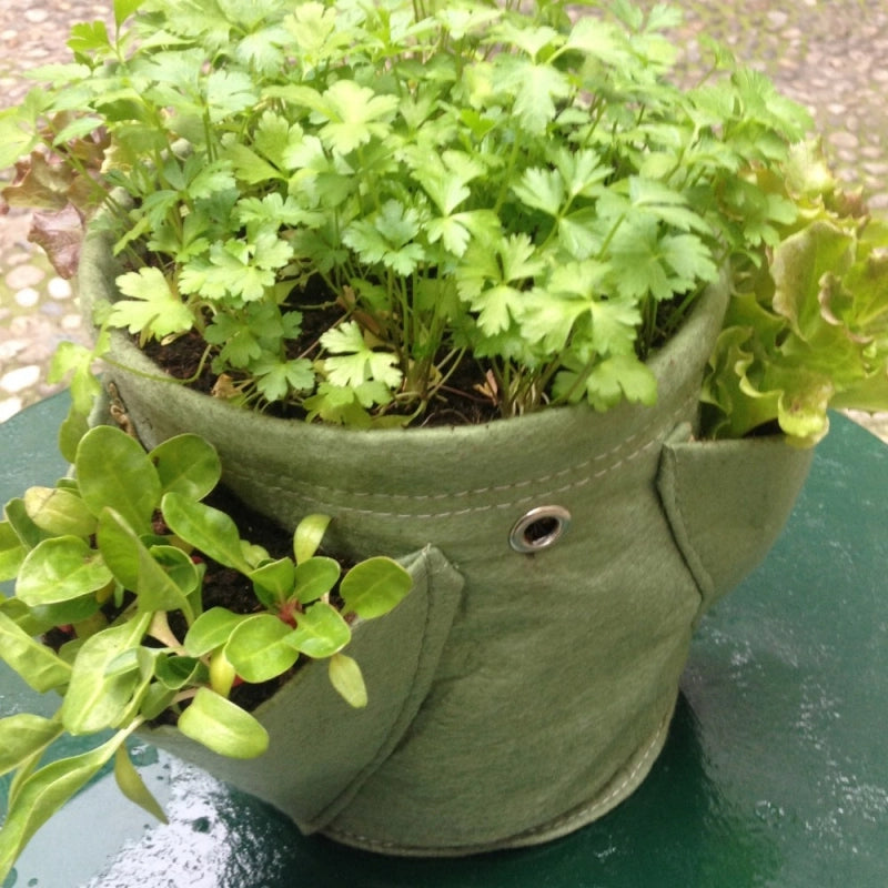 Vaso in tessuto per Erbe Aromatiche BloemBagz da 6 litri, con 3 tasche, colore rosso bordeaux