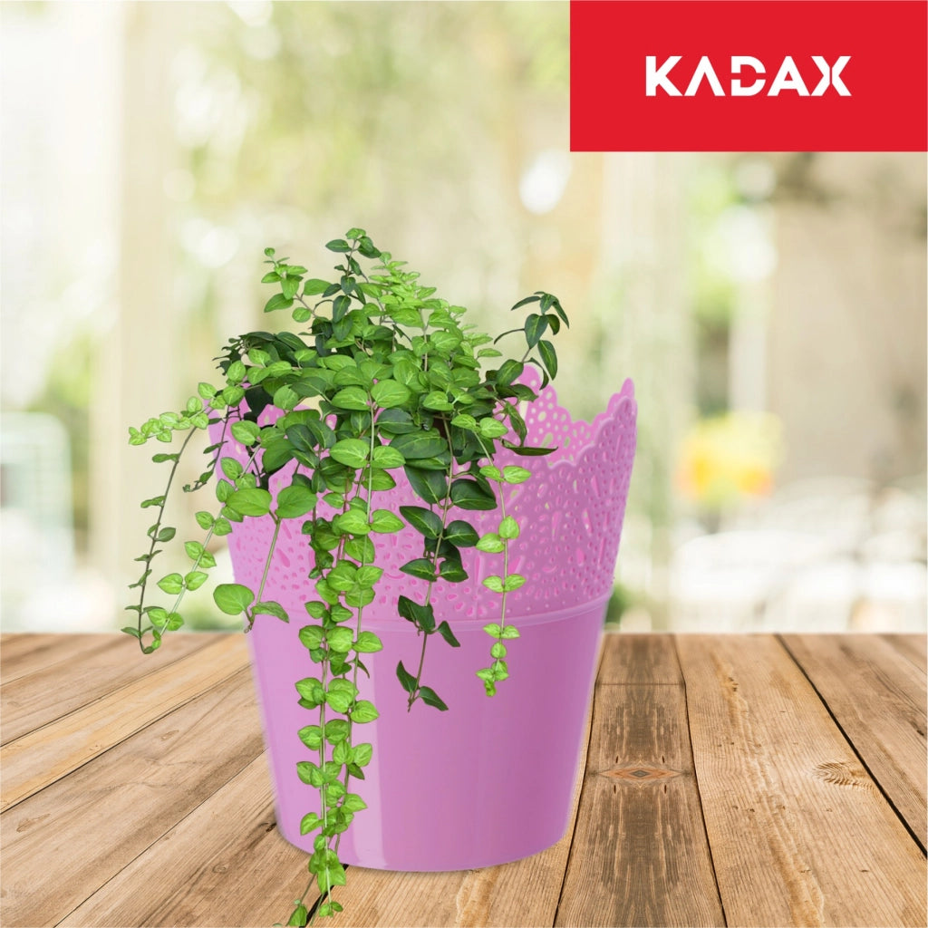 Vaso da fiori KADAX, vaso da fiori, coperchio alto, supporto per fiori, ciotola lucida, 14,5 cm, rosa