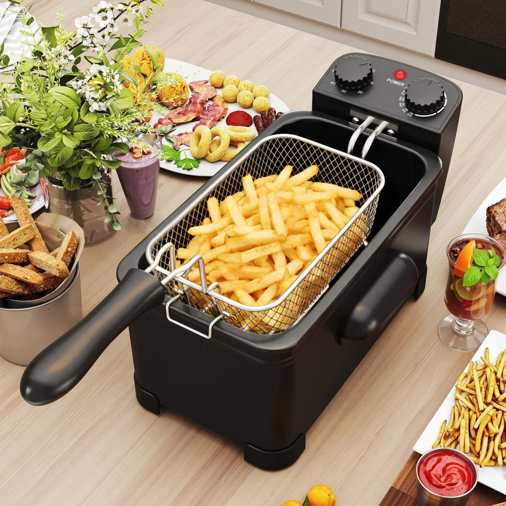 Friggitrice professionale elettrica da 3 l e 1700w con cestello estraibile, Friggitrice ad olio con timer e termostato regolabile per casa