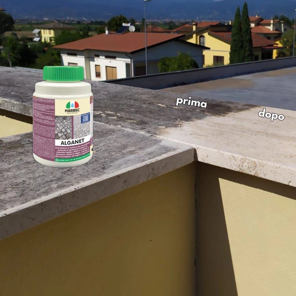 Pulizia pavimenti esterni ALGANET   800GR + Tampone Marrone