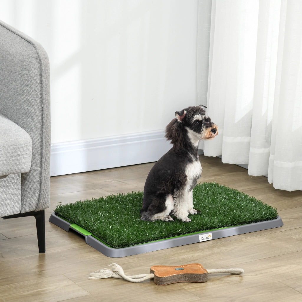 Toilette per Cani con Erba Sintetica ¨C Minimal ¨C Grigio 67x41x3.5 cm