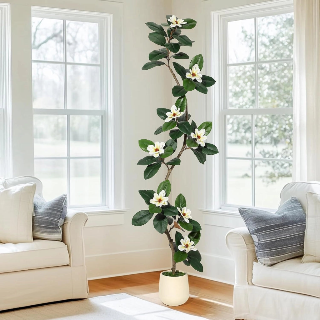 Ficus Elastica Artificiale 210 cm con Fiori di Magnolia e Vaso Bianco Alto