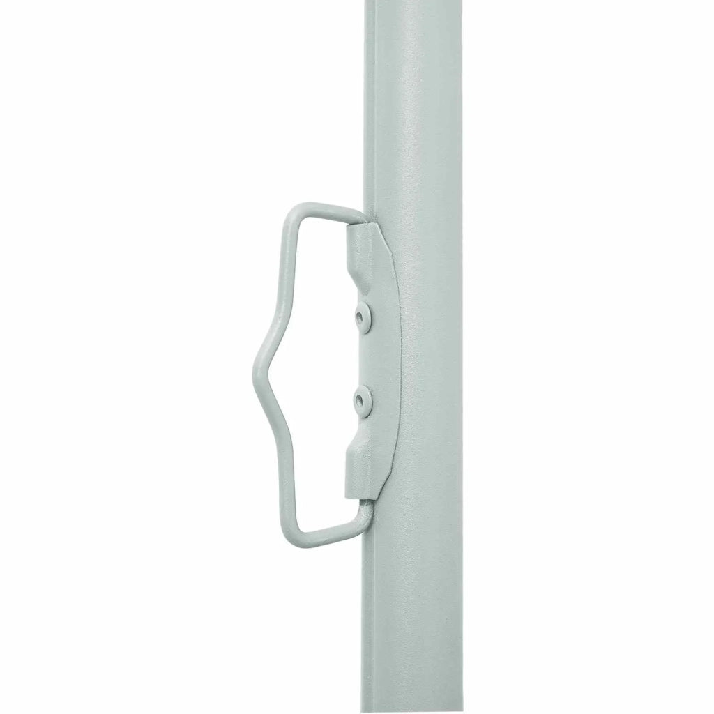 Tenda da Sole | Tenda laterale retrattile Antracite 300 x 100 cm Poliestere