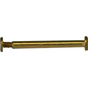 VITE A CANNOCCHIALE 50 mm - 50 pezzi