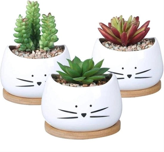 Set di 3 Piccoli Vasi per Cacti - Cacti - 3 Pezzi - Colore: Multicolore - Materiale: Ceramica