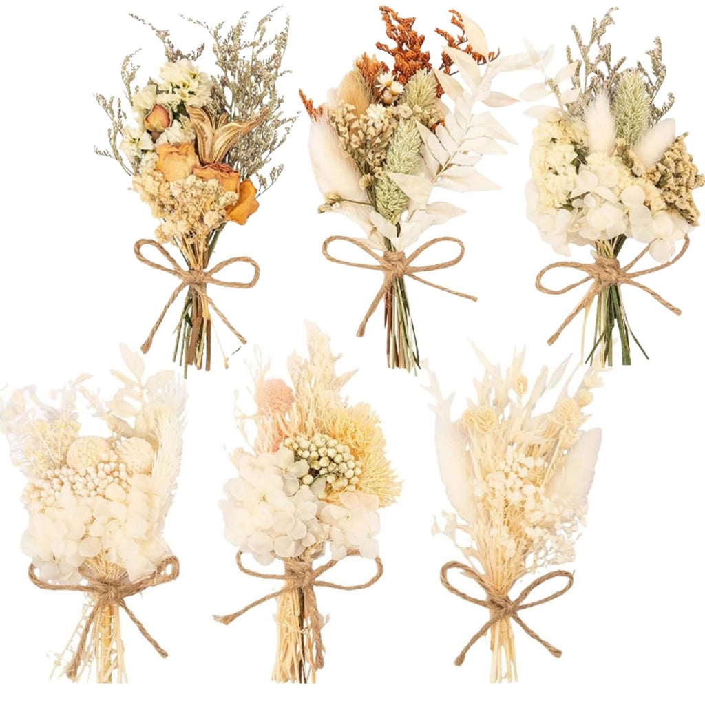 6 mazzi di fiori secchi naturali, piccoli fiori secchi, mini mazzi decorativi di fiori secchi per cornici fai da te, decorazioni per matrimoni e feste (Stile B)