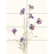 Poster panoramici, set di 8 elementi, acquerello, fiori, 119,55 x 84,7 cm