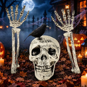 Set per Halloween: teschio, corvo, 2 braccia scheletriche
