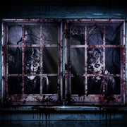 Decorazioni per finestre a tema Halloween, articoli per creare un'atmosfera spaventosa, dimensioni 120x80 cm