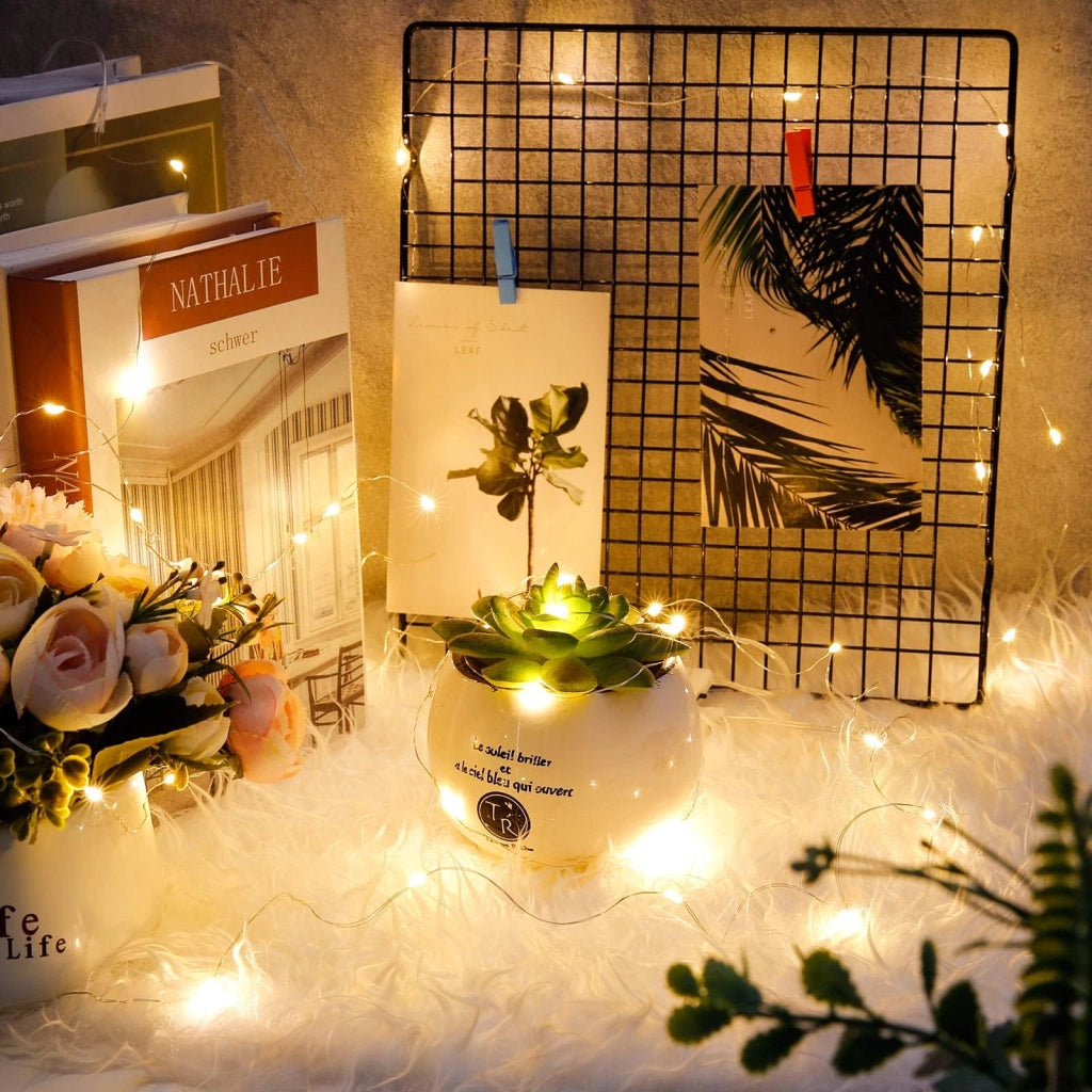Catena luminosa a LED, confezione da 10, lunghezza 1 metro, luce bianco caldo, grado di protezione IP67, filo in rame