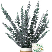 Fiori di eucalipto essiccati, 16 pezzi, 40 cm, prodotto naturale