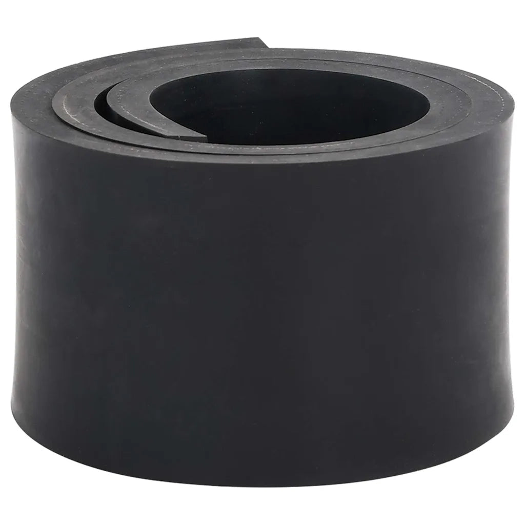Bordo in Gomma per Spazzaneve Nero 100x8x1 cm 4103510