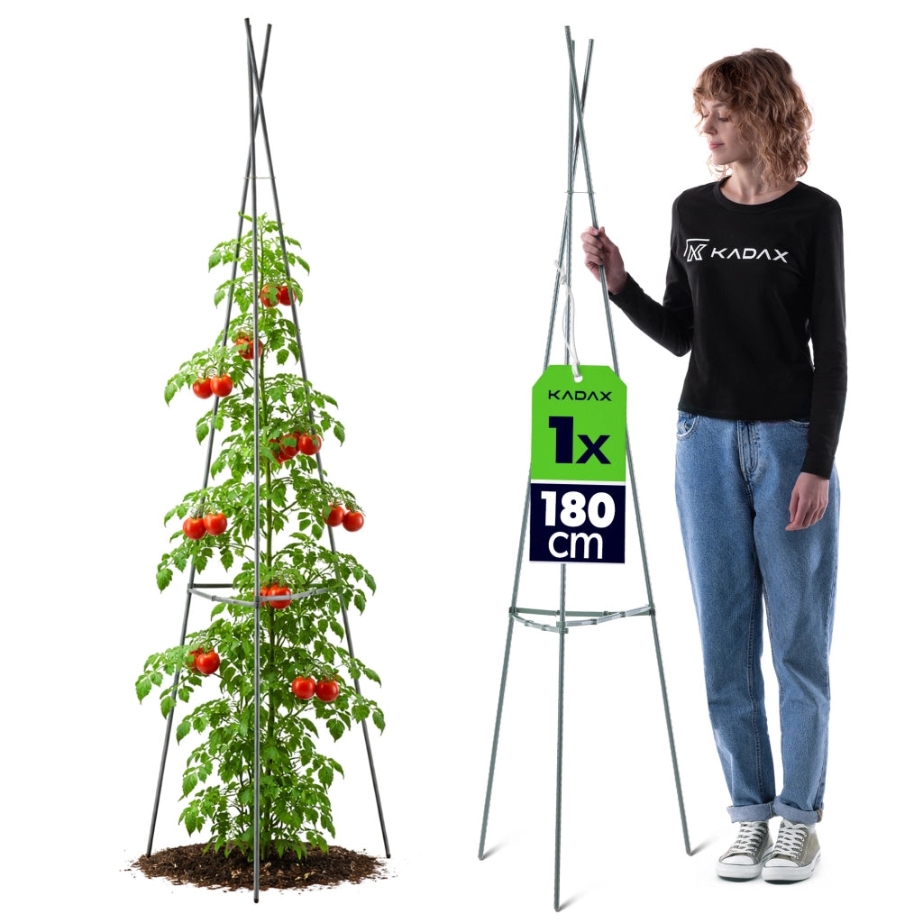 3 tutori conici per piante KADAX, 180 cm