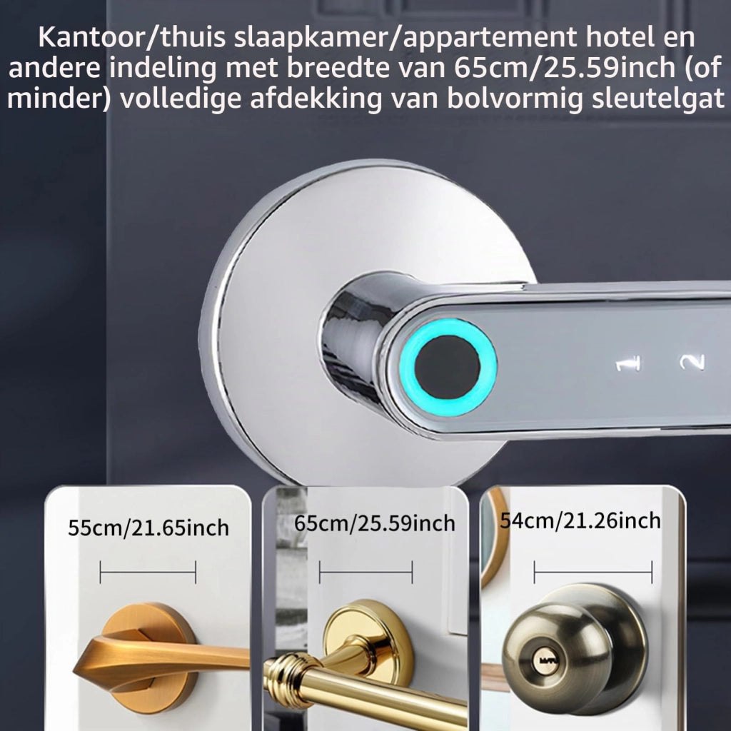 Serratura per porta biometrica con tastiera elettronica, colore argento