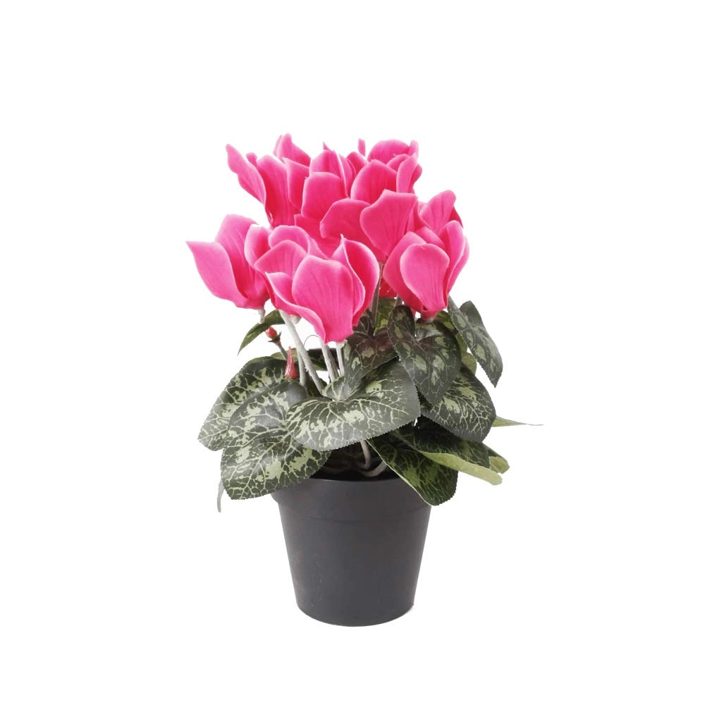 Pianta artificiale di ciclamino rosa in vaso, altezza 25 cm, seta sintetica